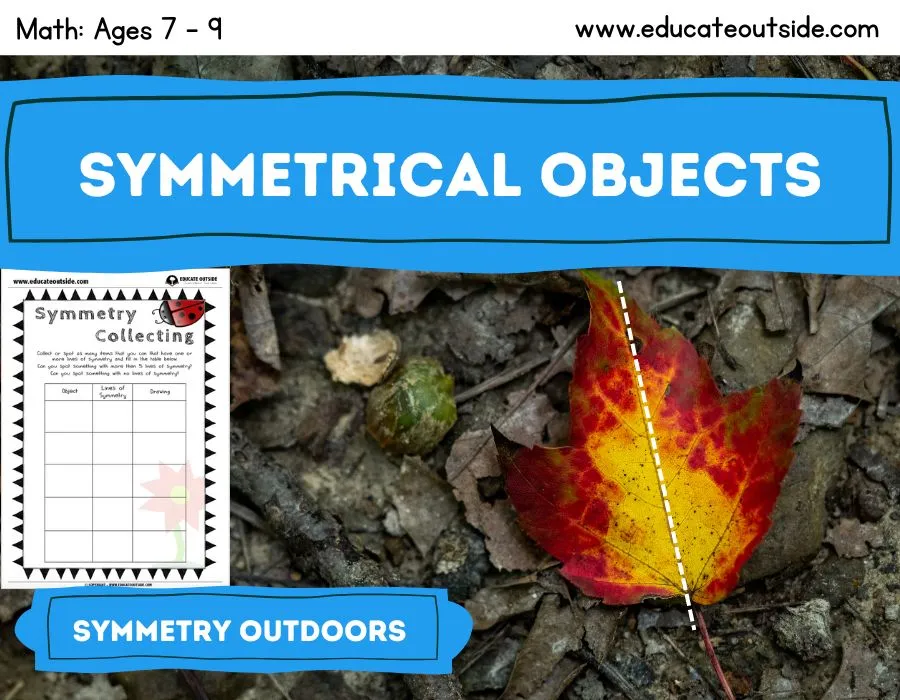 Outdoor Symmetry Finding and Drawing Lesson