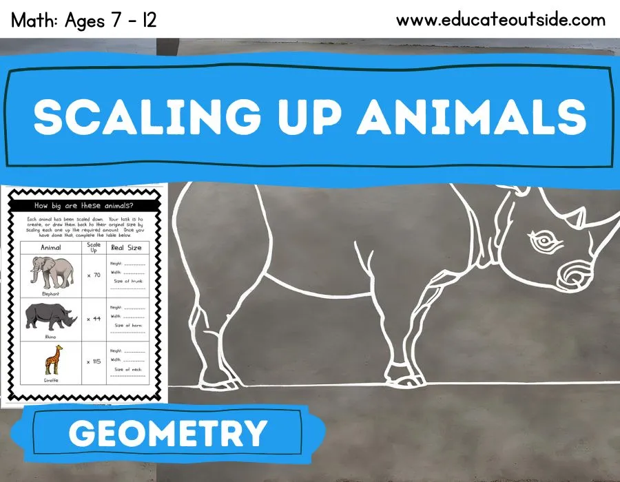 Scaling Up Animal Drawings Outdoor Lesson