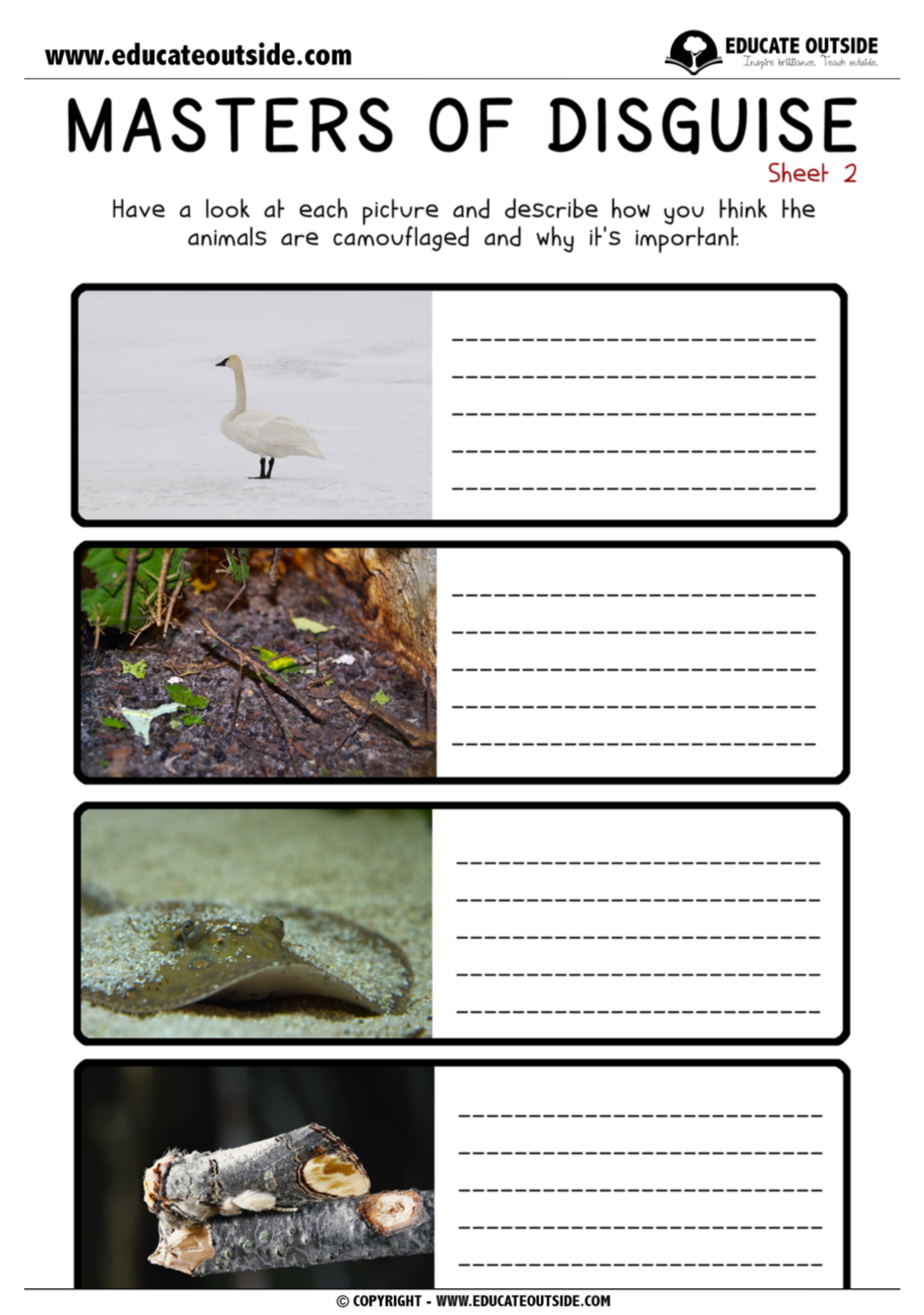 Camouflage Hunt - Educate Outside Camouflage Hunt - Educate Outside