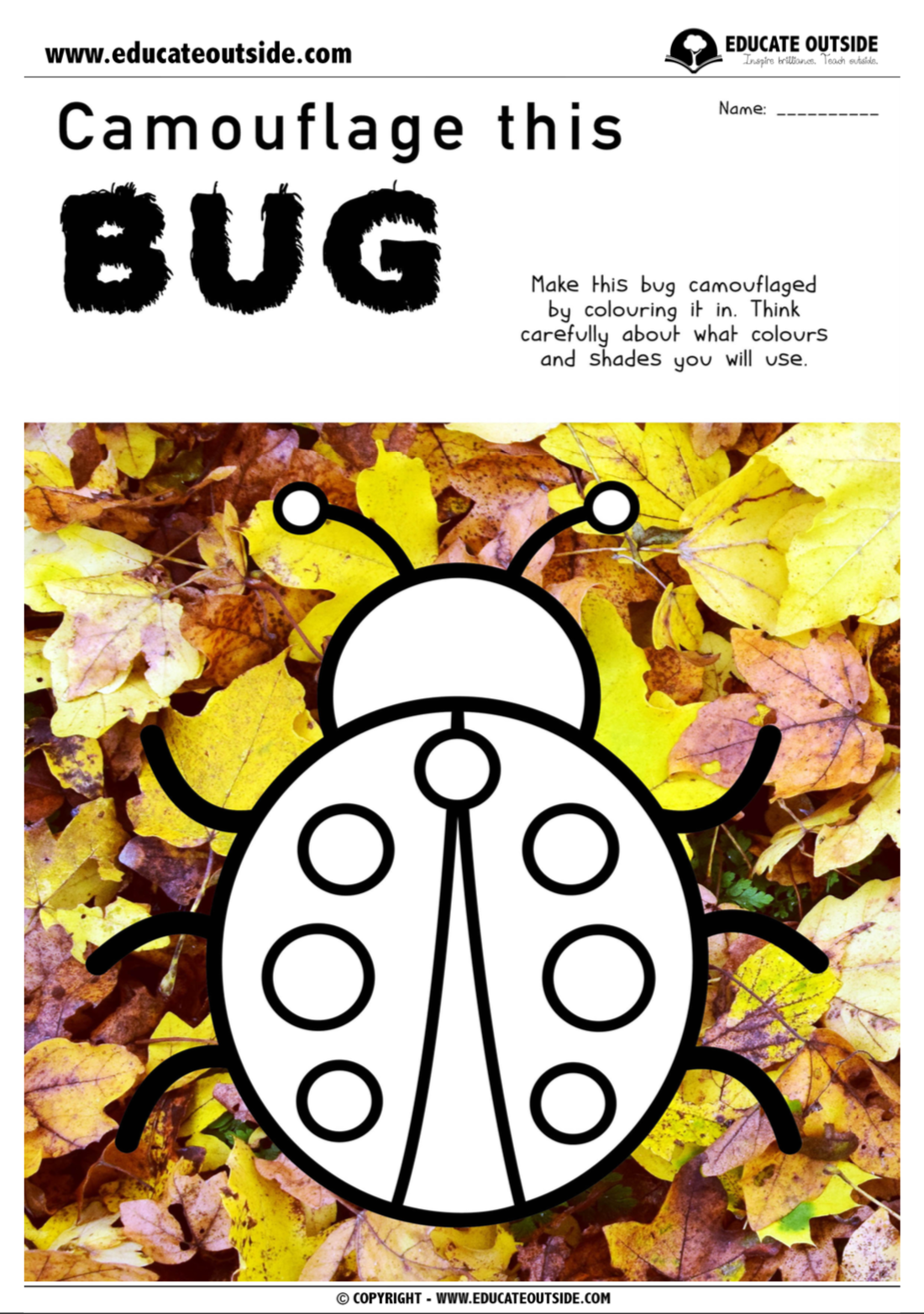 Camouflage: Find My Bug - Educate Outside
