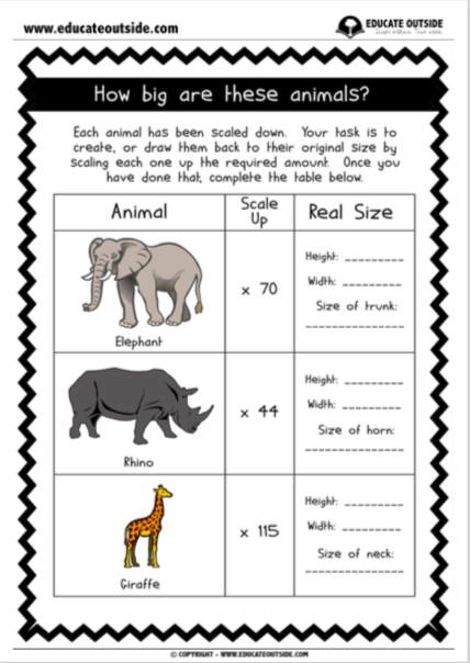 Scaling Up: Animal Drawings - Educate Outside