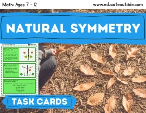 Outdoor Symmetry Lesson - Task Cards