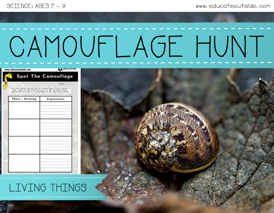 Camouflage Hunt Outdoor Activity