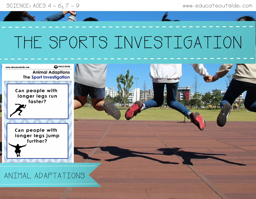 Adaptations Sports Investigation Outdoor Activity