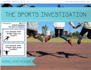 Animal Adaptation Lesson Ideas - Outdoor Activity