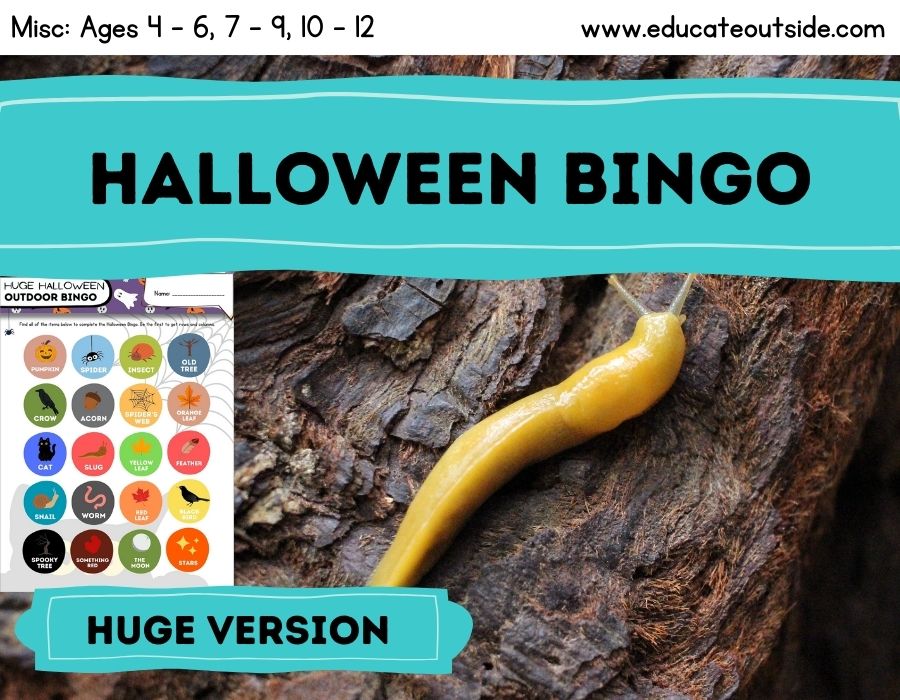 Huge Halloween Outdoor Bingo Lesson