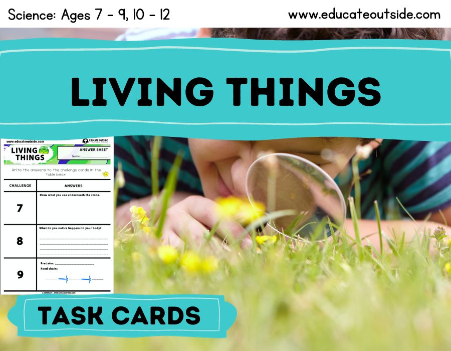 Living Things Outdoor Task Cards