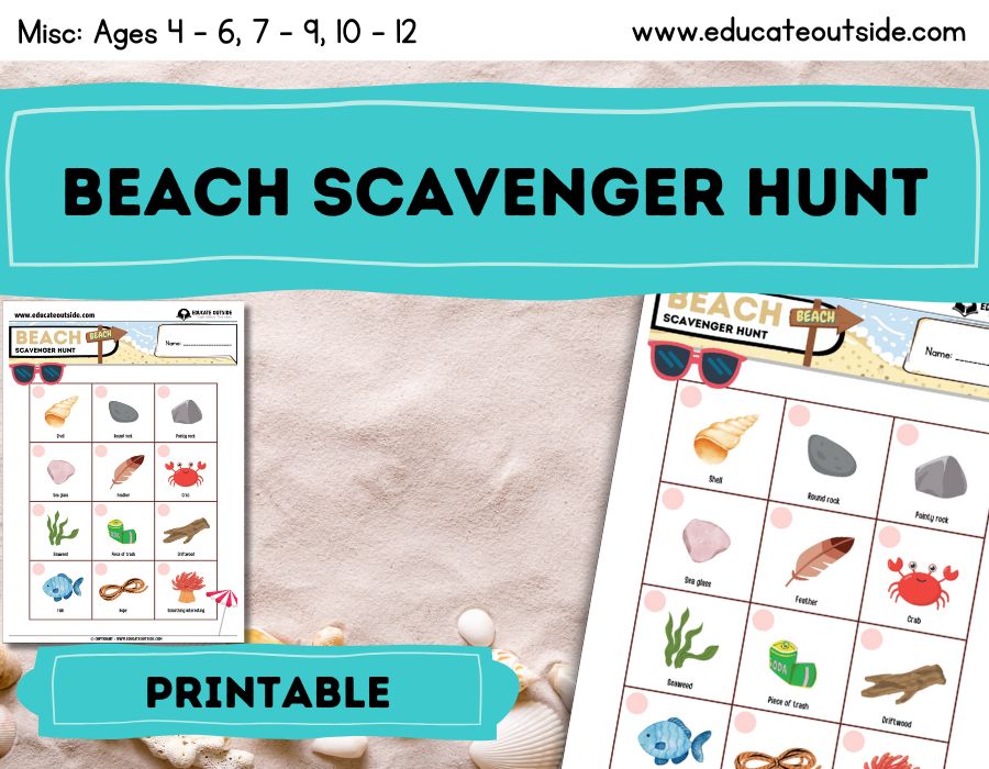 Beach Scavenger Hunt For Kids
