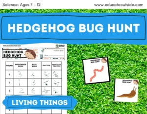 Hedgehog Bug Hunt - Pesticide Lesson