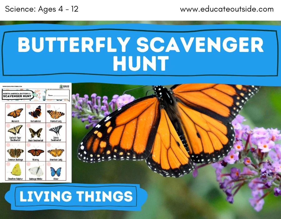 Butterfly Scavenger Hunt Outdoor Activity