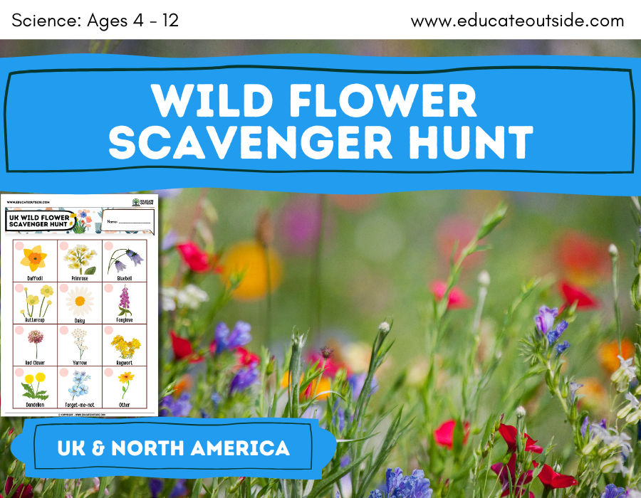 Wildflowers scavenger hunt for kids