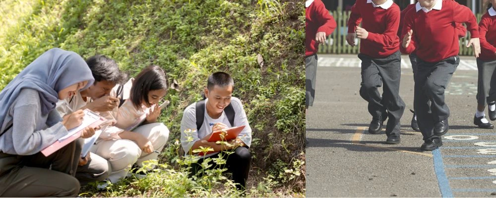 Outdoor Learning Resources