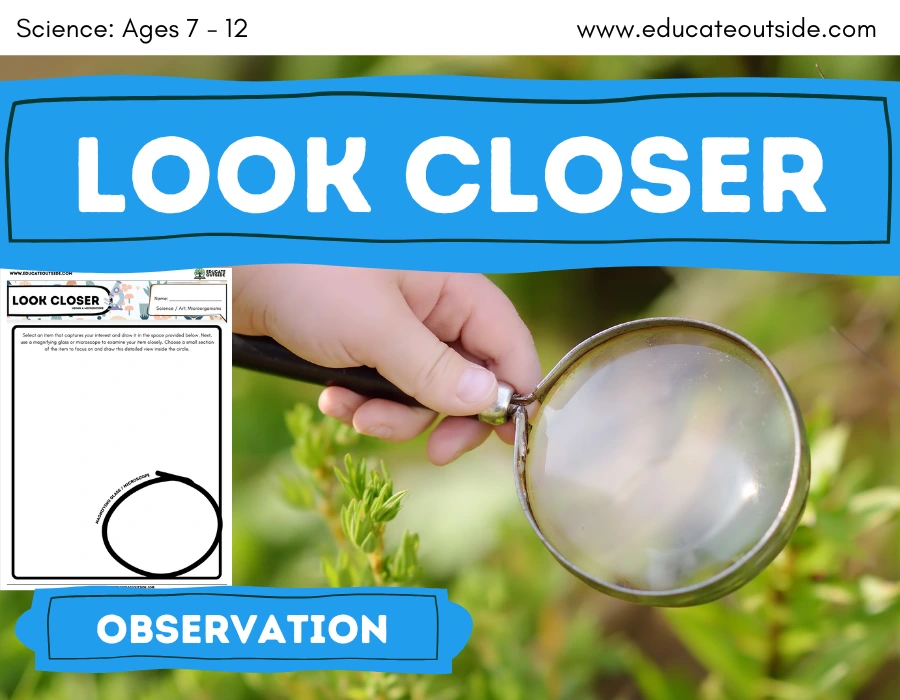 Magnification Observation Outdoor Science Activity