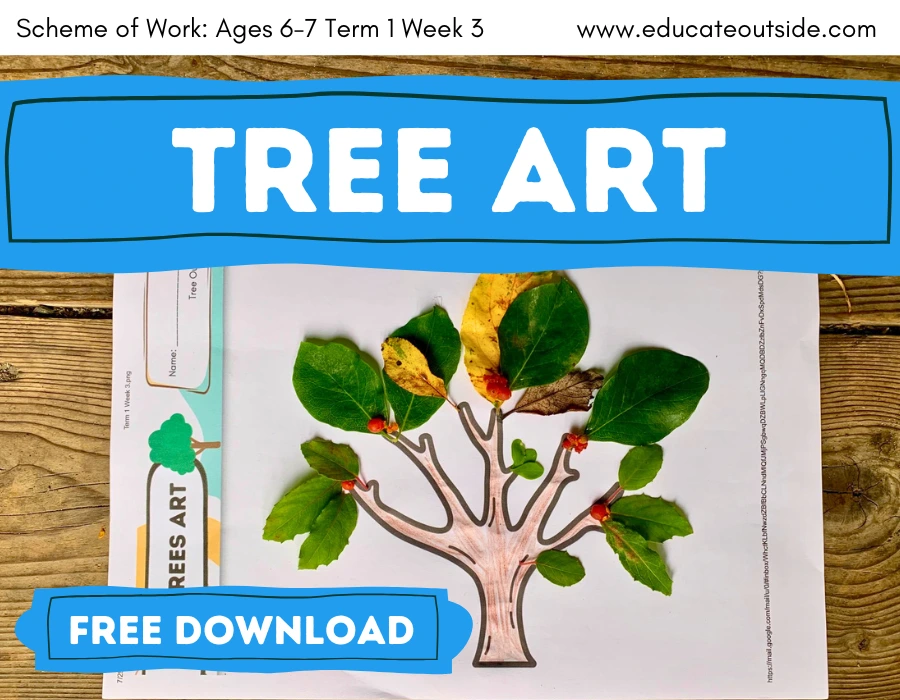 Tree Art Outdoor Lesson