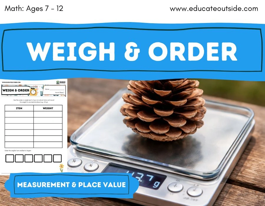 Measuring Mass with Decimals Weight and Place Value Activity