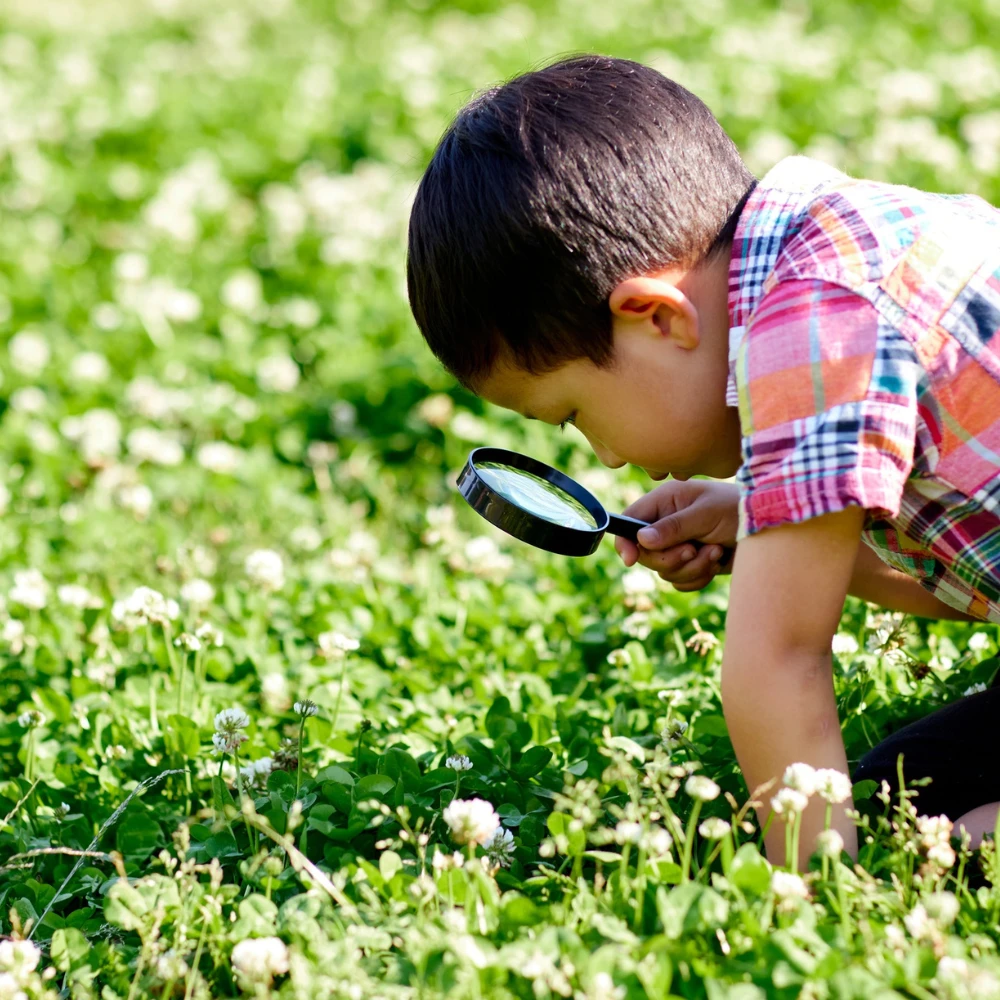 Child with magnifying glass examining nature
