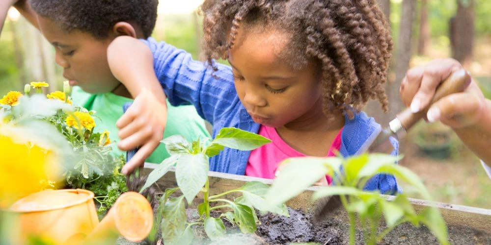 Outdoor Learning Activities for Kids