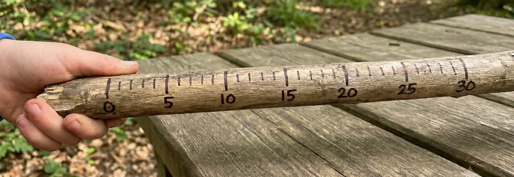 Shape space and measure outdoor lessons for kids