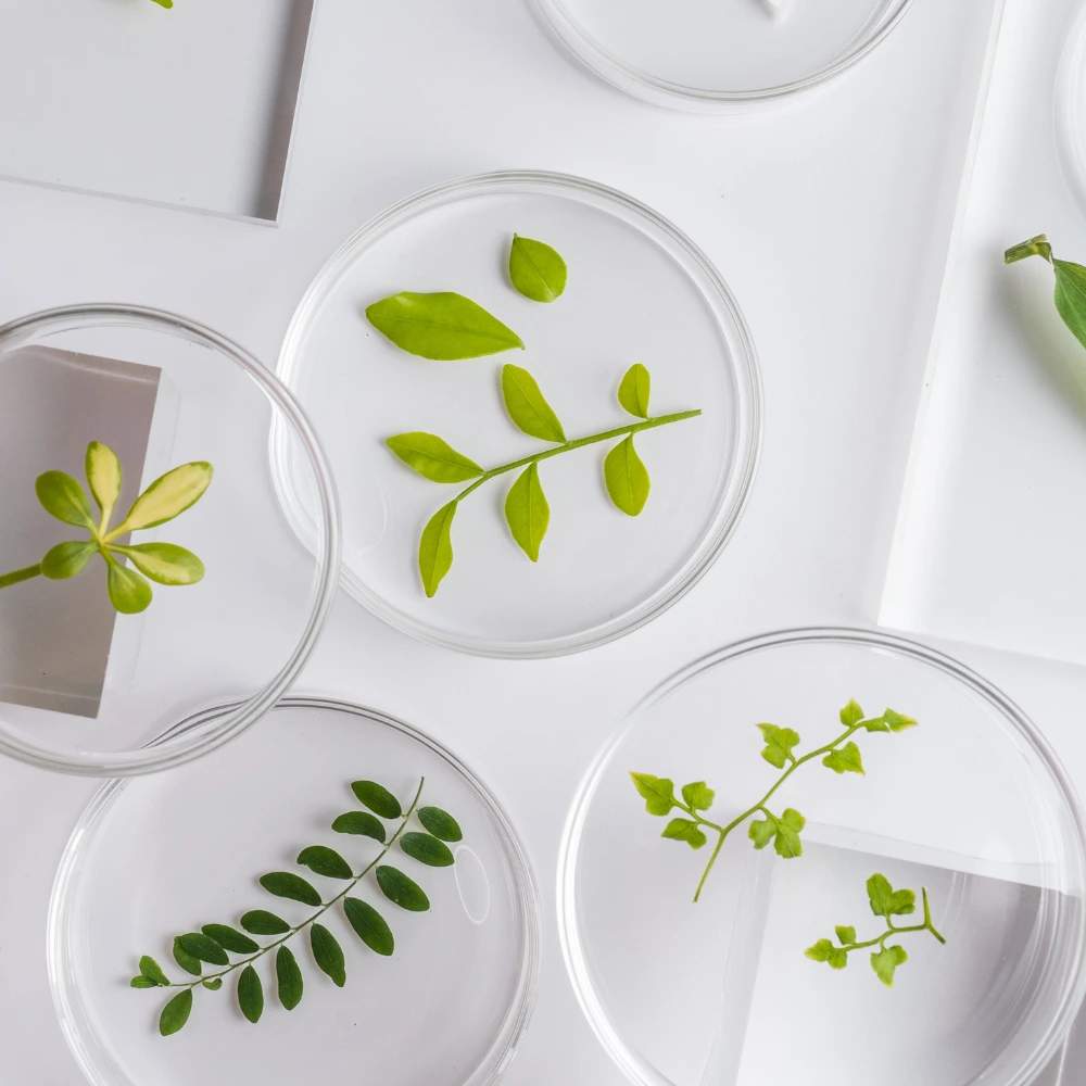 Test and predict science lesson for kids