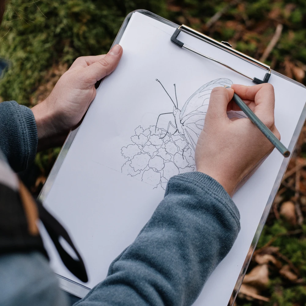 Child sketching a butterfly during an outdoor science lesson
