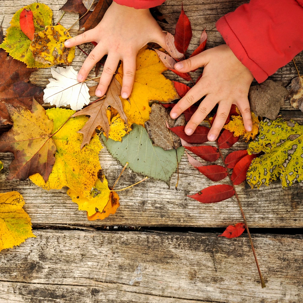 Decay outdoor science lesson for kids