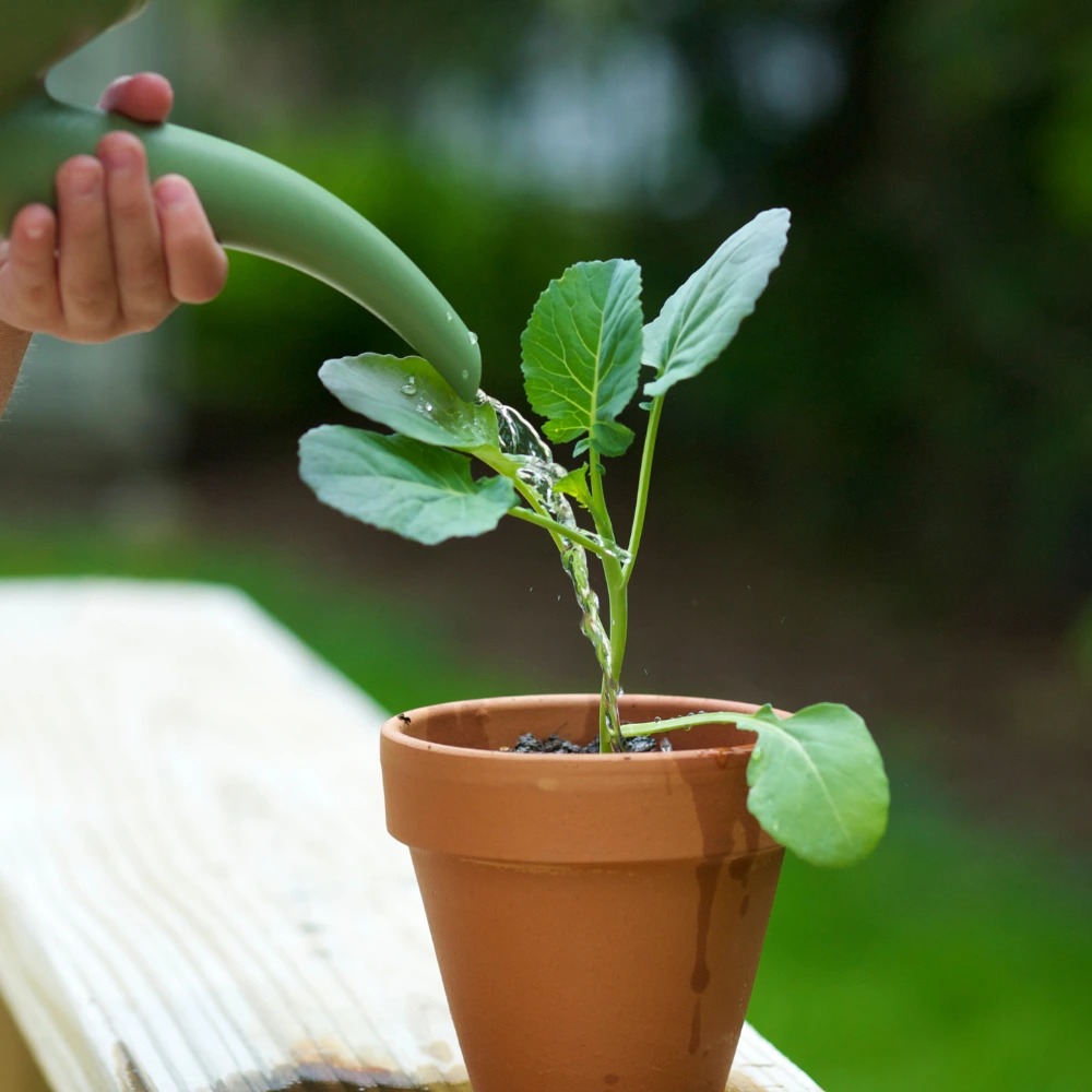 Growth and change outdoor science lesson