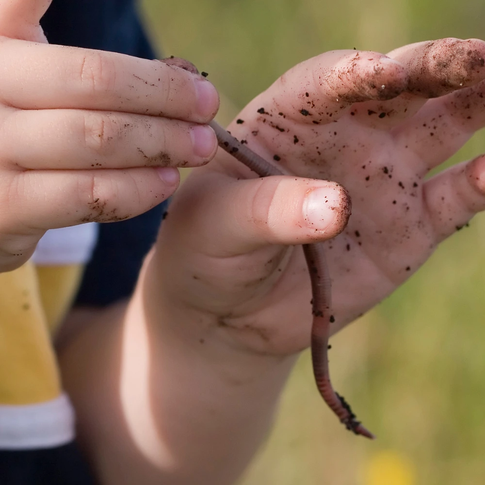Children exploring living things and minibeasts in an outdoor science lesson