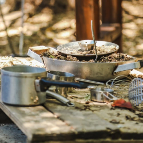 Forest school activities for early years children aged 4 to 6