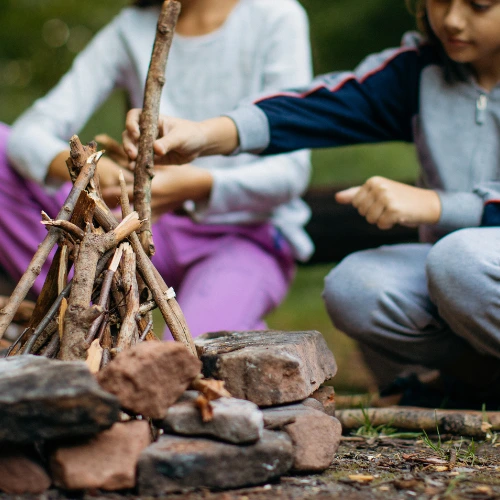 Forest school activities for elementary children aged 7 to 9