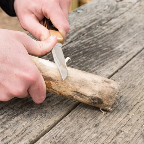 Forest school activities for older primary children aged 10 to 12
