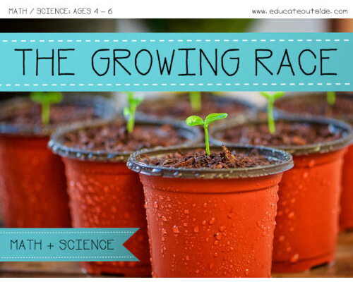 Lifecycle of a Plant – What Plants Need To Grow Investigation (Ages 4 – 6)