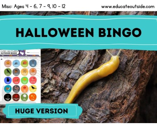 Huge Halloween Outdoor Bingo