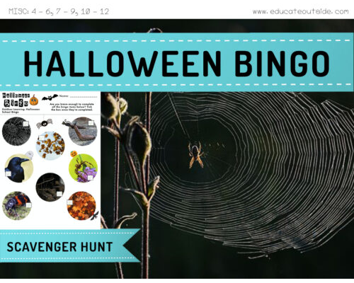 Halloween Outdoor Bingo