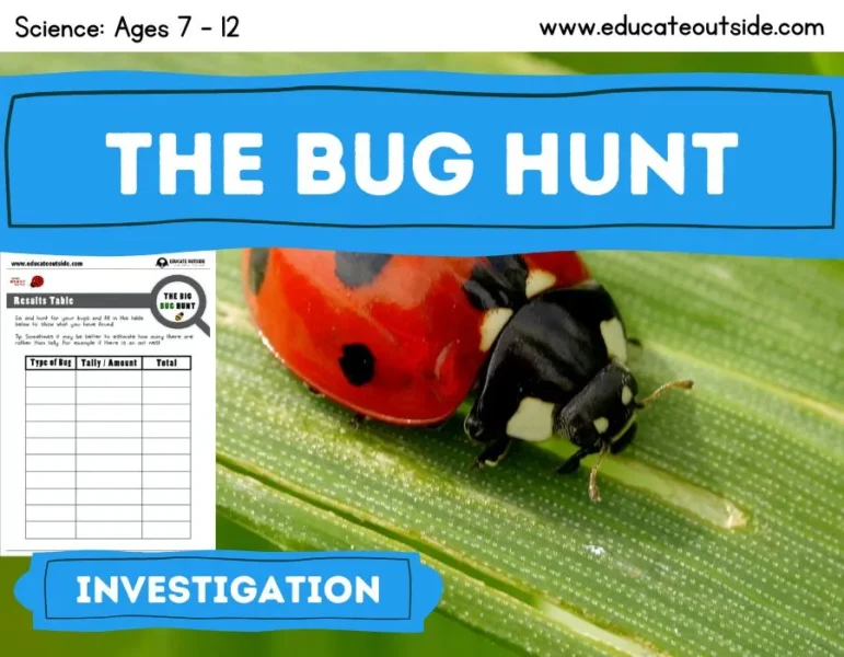 Math & Science Outdoor Investigation - Insects / Mini-Beasts Hunt - Data Handling