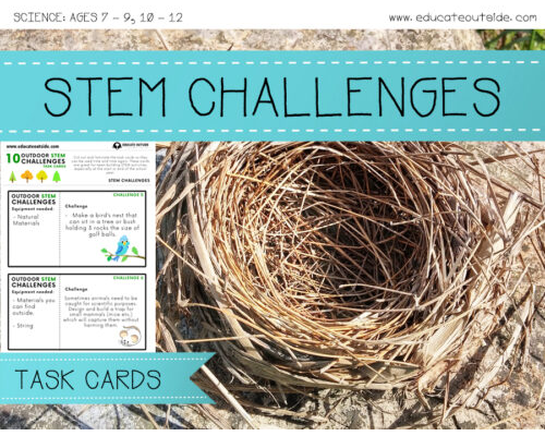 STEM Outdoor Challenge Cards