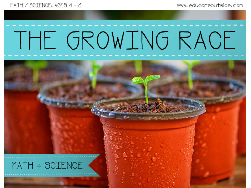 Lifecycle of a Plant – What Plants Need To Grow Investigation (Ages 4 – 6)