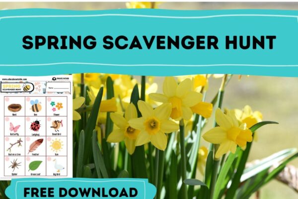 Spring Scavenger Hunt