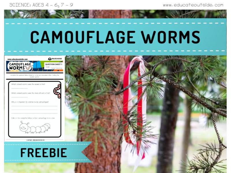 Animal Adaptations Lesson - Camouflage Worm Hunt