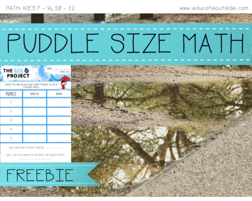 Measuring Investigation - Diameter, Radius and Perimeter - Puddle Math