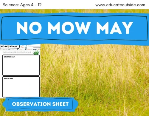No Mow May Observation Sheet | Biodiversity | Habitats