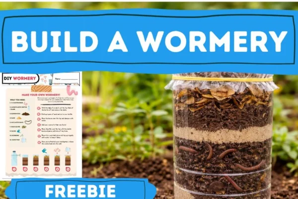 DIY Wormery Instructions for Kids