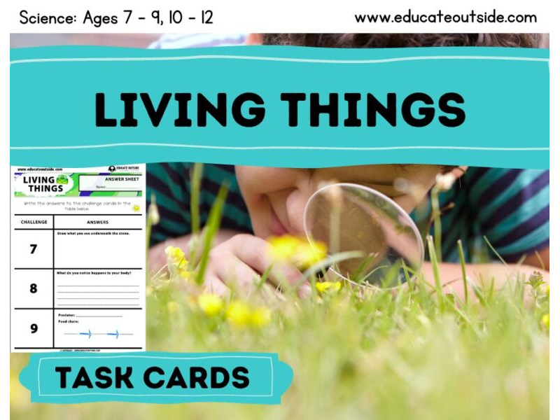 Living Things Outdoor Task Cards