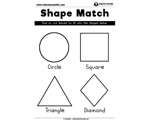 Shape Recognition: Shape Match