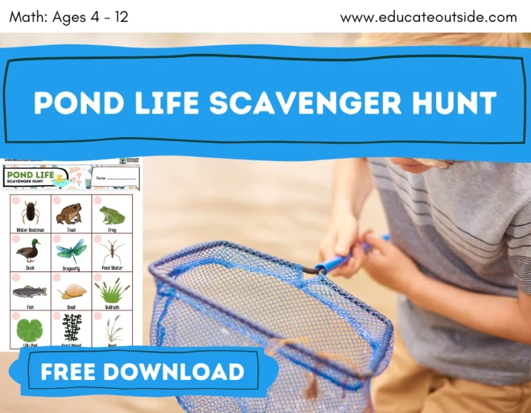Pond Life Scavenger Hunt | Habitats & Living Things