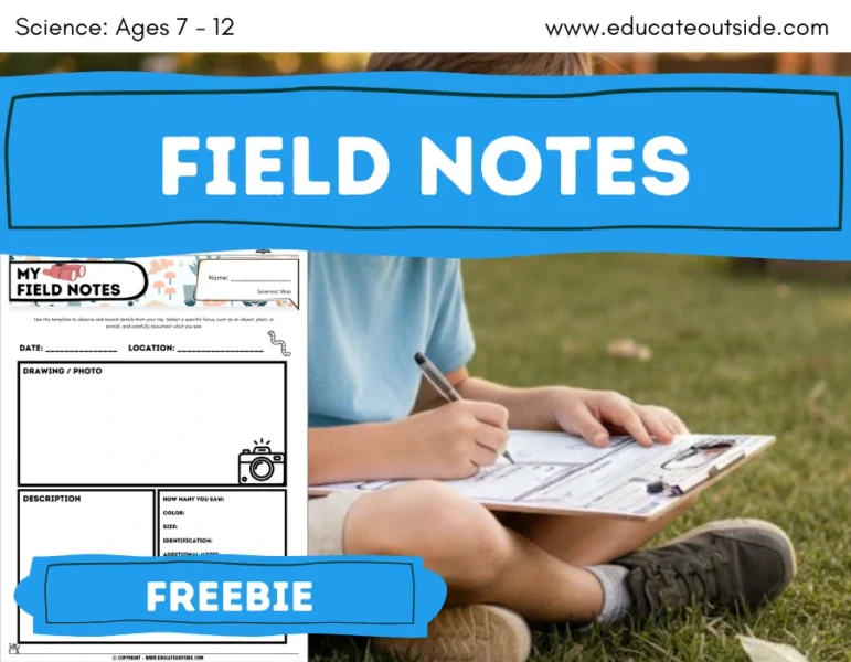 Outdoor Learning Field Notes Template | Living Things | Observations | Field Trips