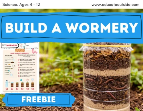 DIY Wormery Activity – Living Things, Decomposition & Ecosystems