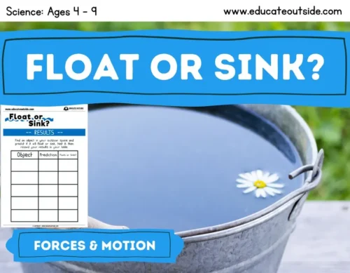 Forces and Motion Lesson: Floating and Sinking Science Investigation