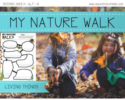 Biodiversity and Habitats Activity - Nature Observation Walk - Living Things