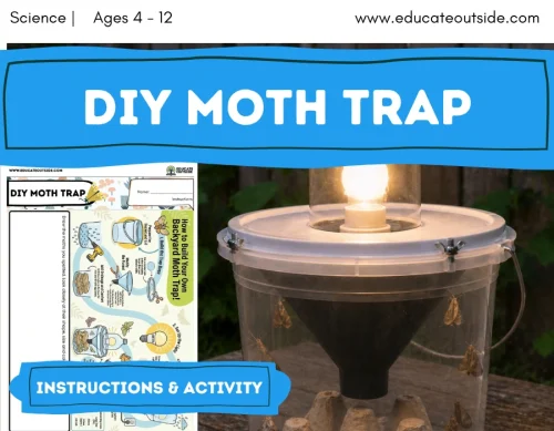DIY Moth Trap Investigation | Hands-On Nocturnal Wildlife Science Activity | Living Things