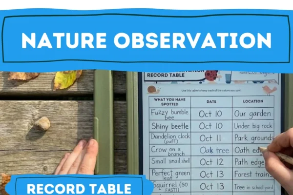 Outdoor Learning Lessons for Elementary - Observation Table